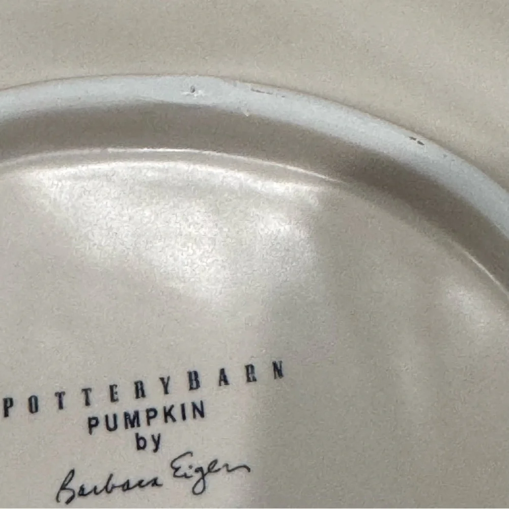 Pottery Barn set white